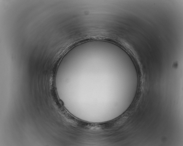 X0000115770113200911131030