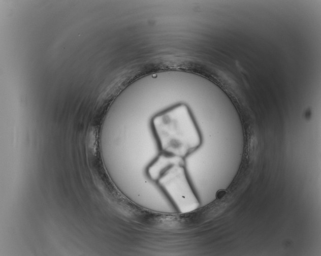 X0000115770121200911131029