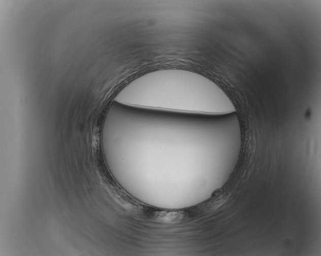 X0000115770135200911131029