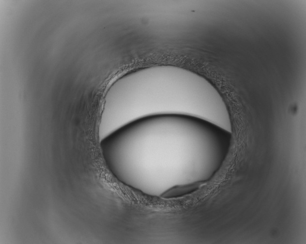 X0000115770144200911131029