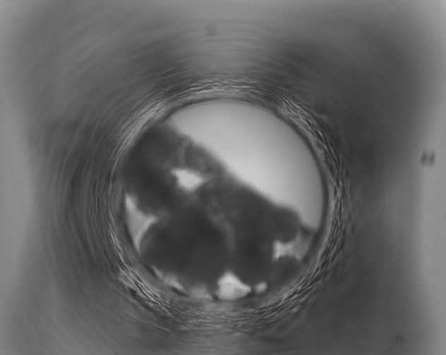 X0000115770145200911131029
