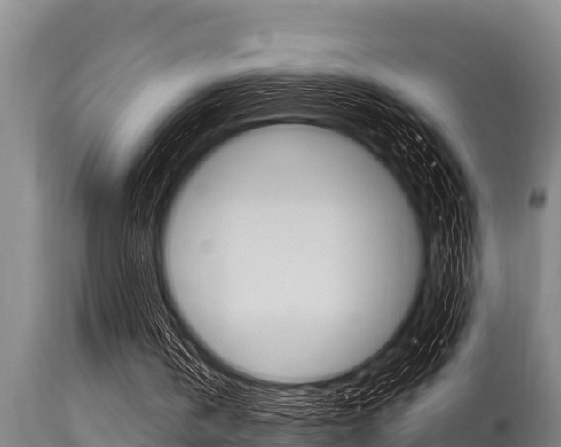 X0000115770146200911131029