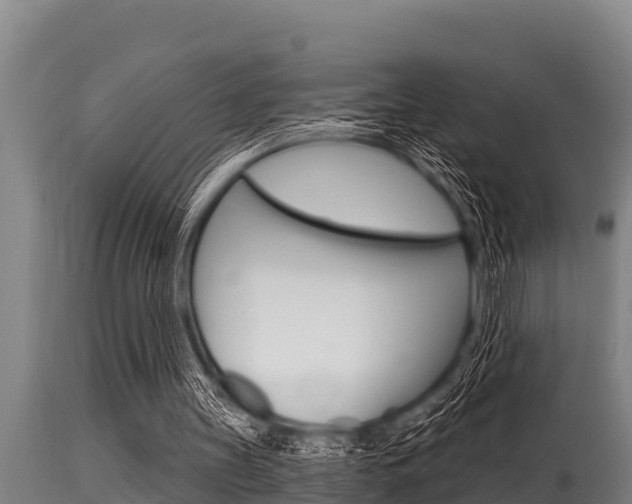 X0000115770147200911131029