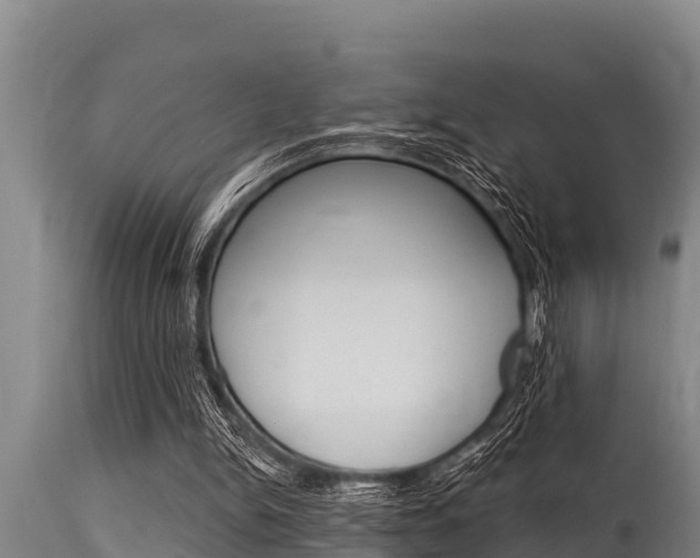 X0000115770150200911131029