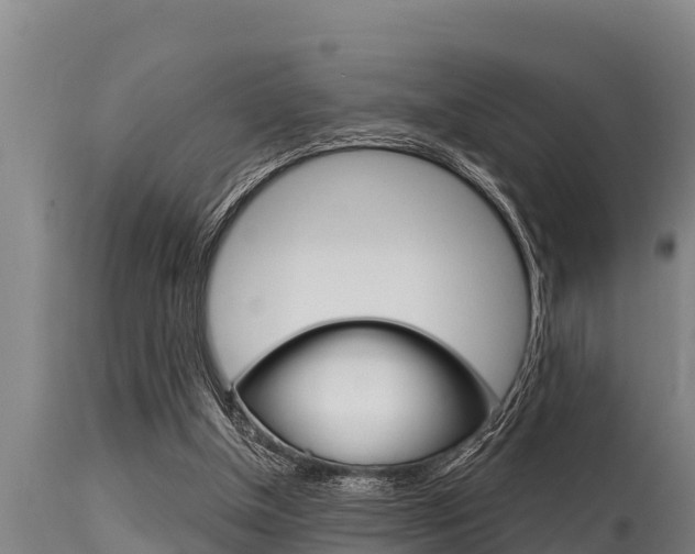 X0000115770154200911131029