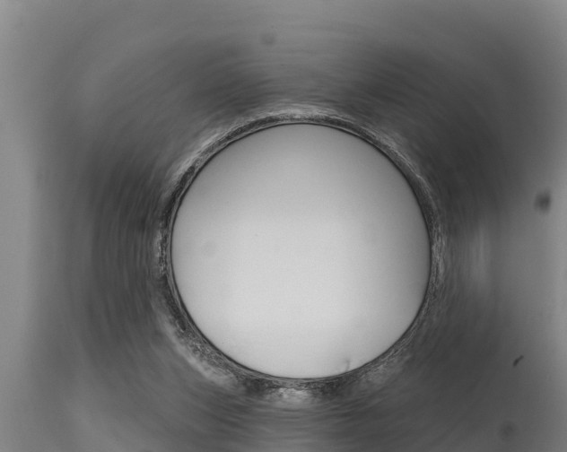 X0000115770159200911131029