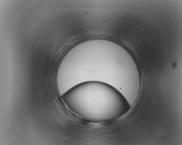 X0000115770170200911131029