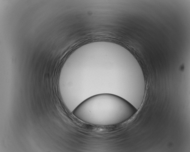 X0000115770174200911131029