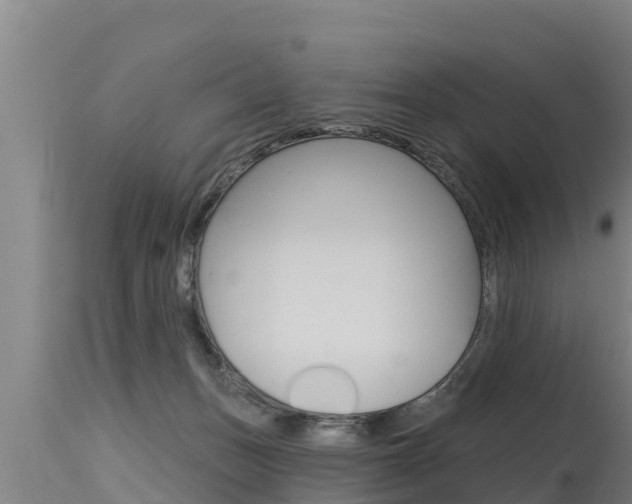 X0000115770175200911131029