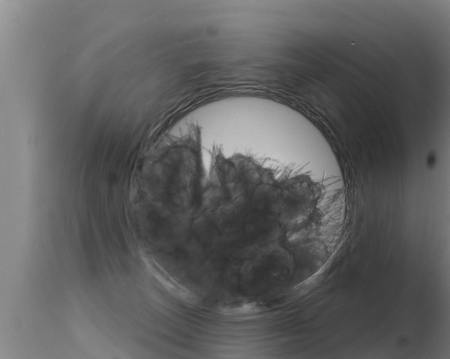 X0000115770179200911131029