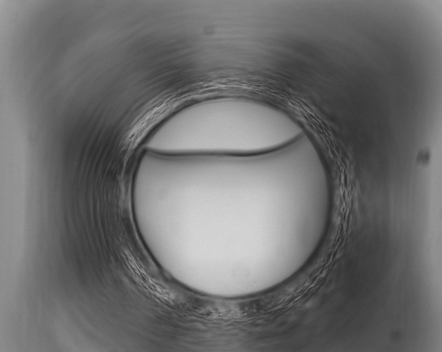 X0000115770194200911131028