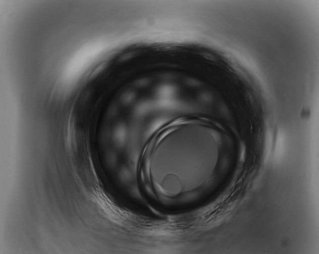X0000115770195200911131028