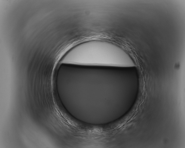X0000115770196200911131028