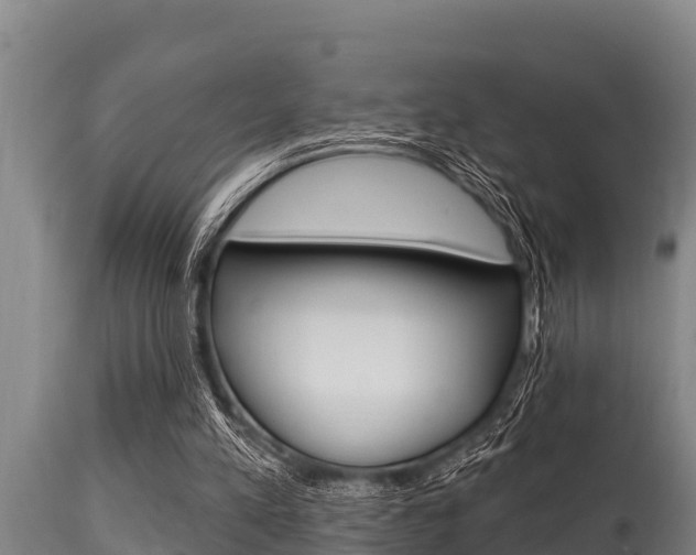 X0000115770197200911131028