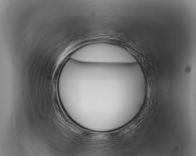 X0000115770198200911131028