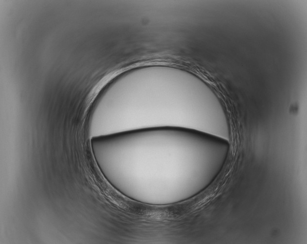 X0000115770200200911131028