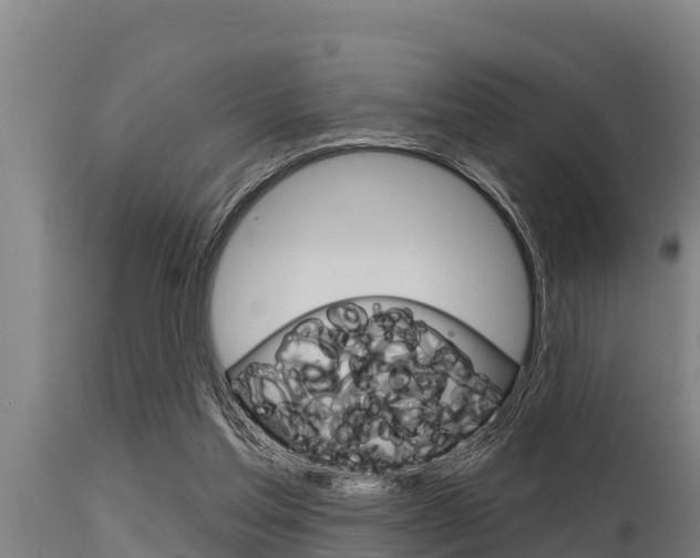 X0000115770205200911131028