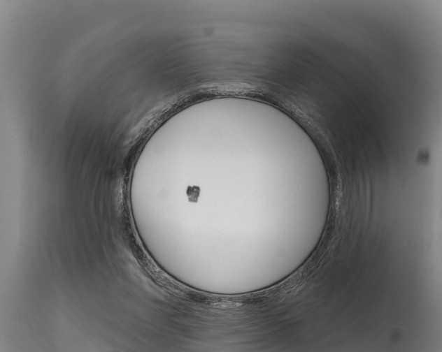 X0000115770206200911131028