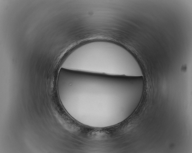 X0000115770208200911131028