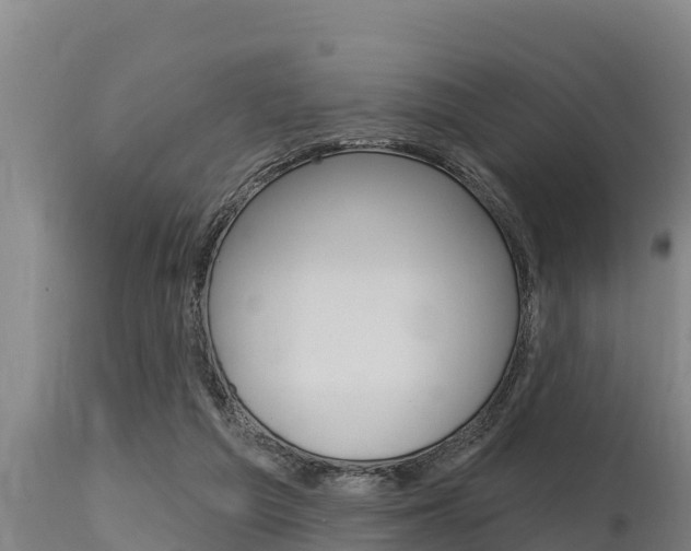 X0000115770209200911131028