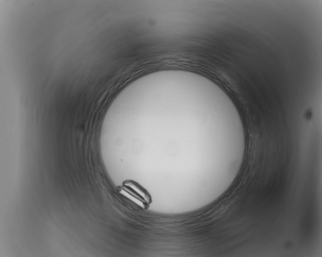 X0000115770217200911131028