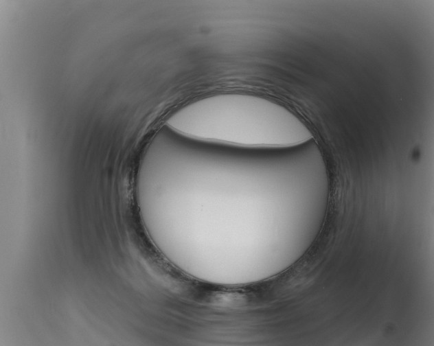 X0000115770220200911131028