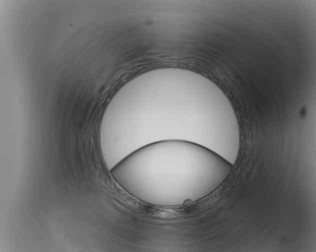 X0000115770229200911131028