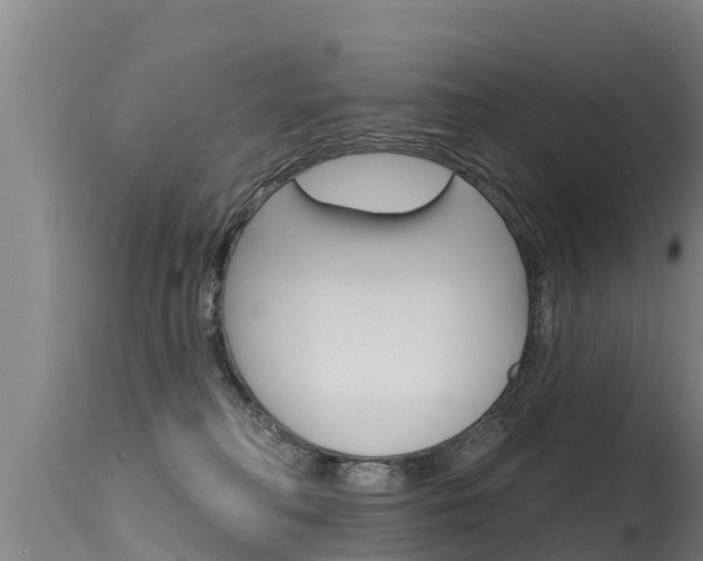 X0000115770230200911131028