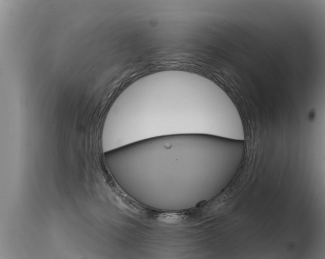 X0000115770231200911131028