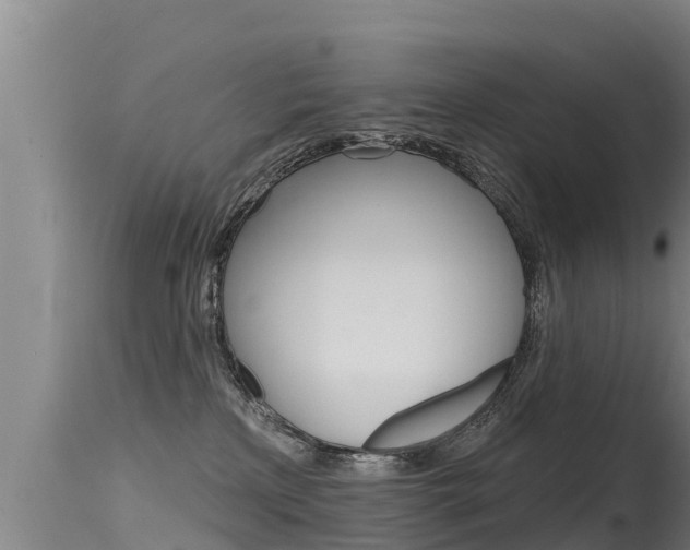 X0000115770233200911131028