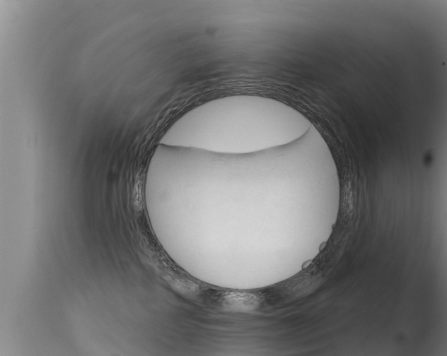 X0000115770234200911131028