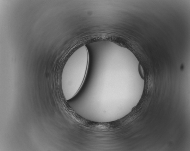 X0000115770236200911131028