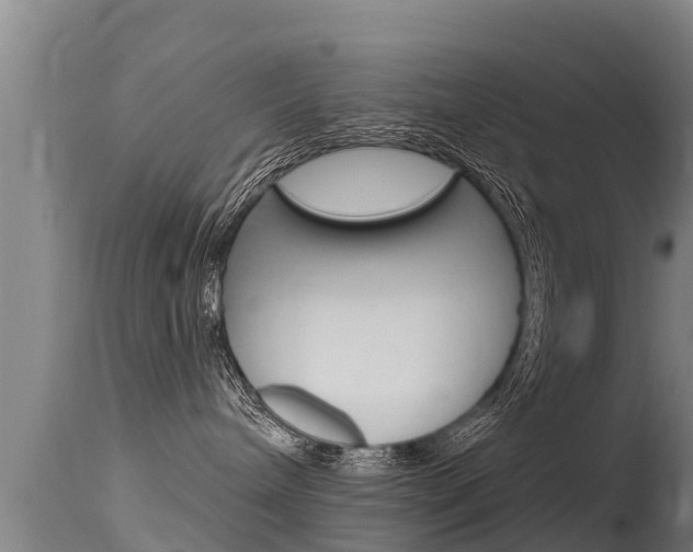 X0000115770240200911131028