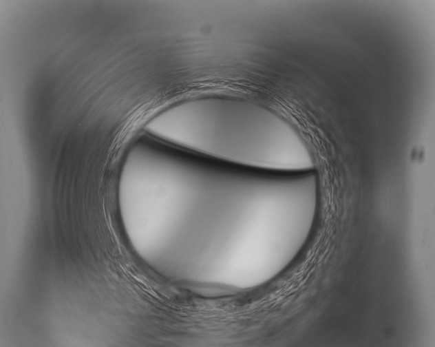 X0000115770241200911131027