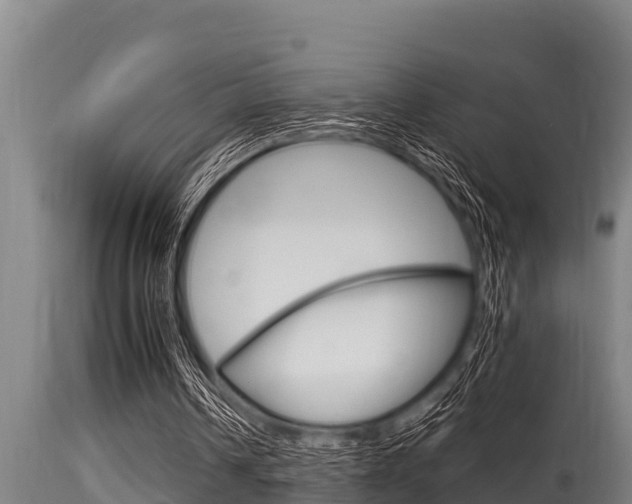 X0000115770242200911131027