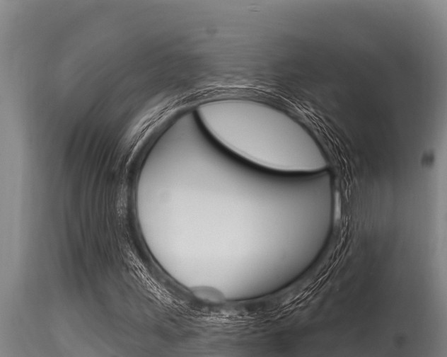 X0000115770243200911131027
