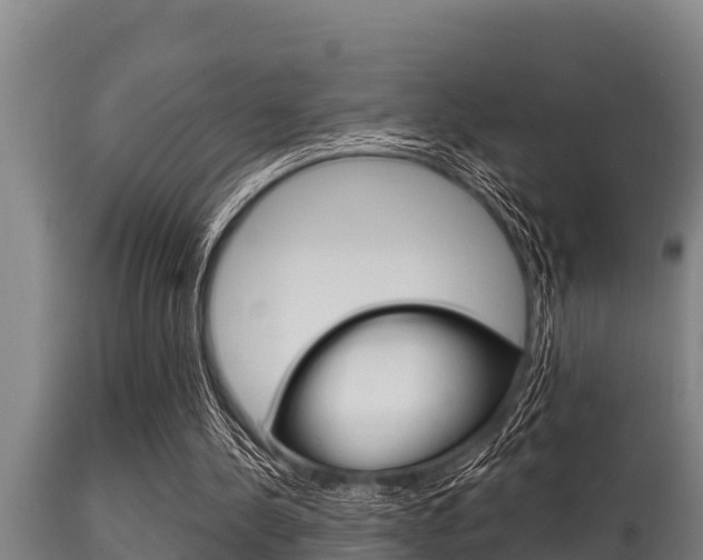 X0000115770244200911131027