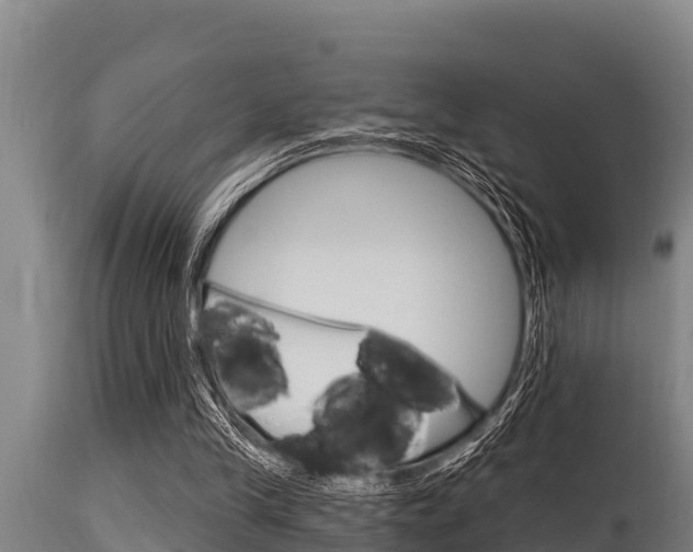 X0000115770245200911131027