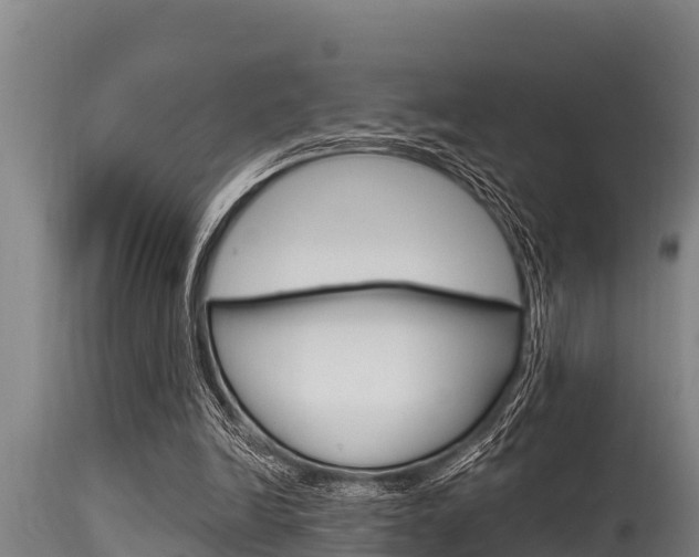 X0000115770246200911131027