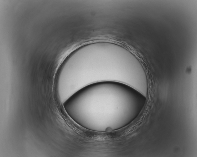 X0000115770248200911131027