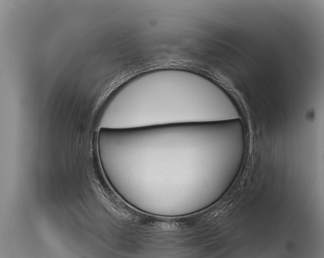 X0000115770250200911131027