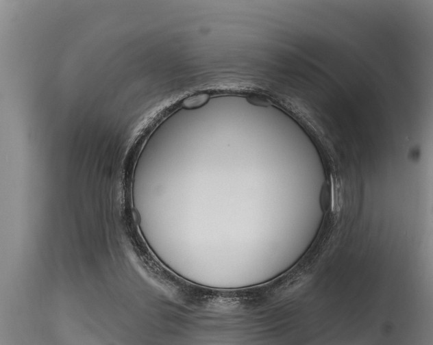 X0000115770252200911131027