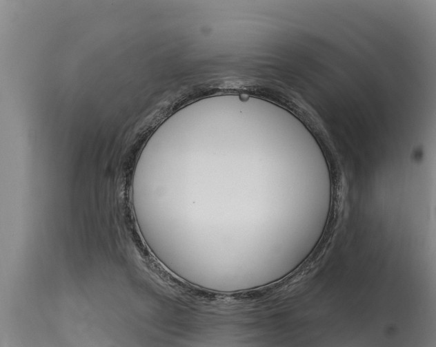 X0000115770257200911131027