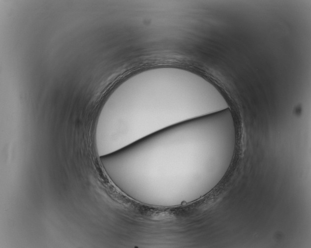 X0000115770258200911131027