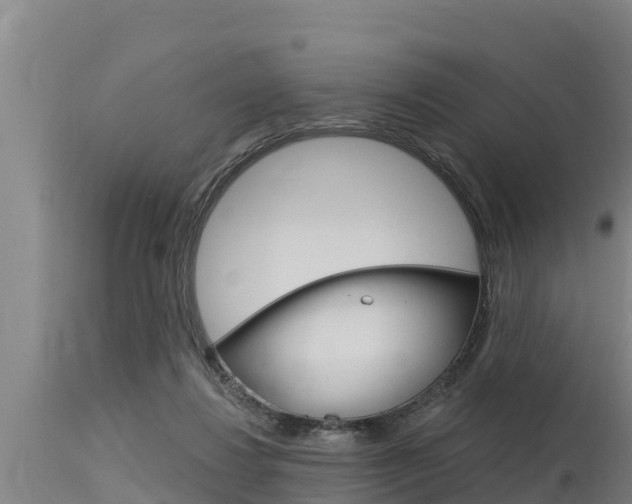 X0000115770260200911131027