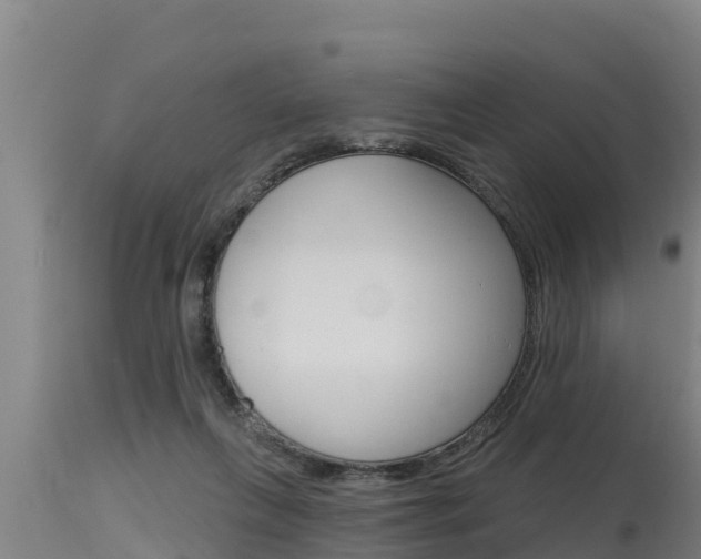 X0000115770263200911131027