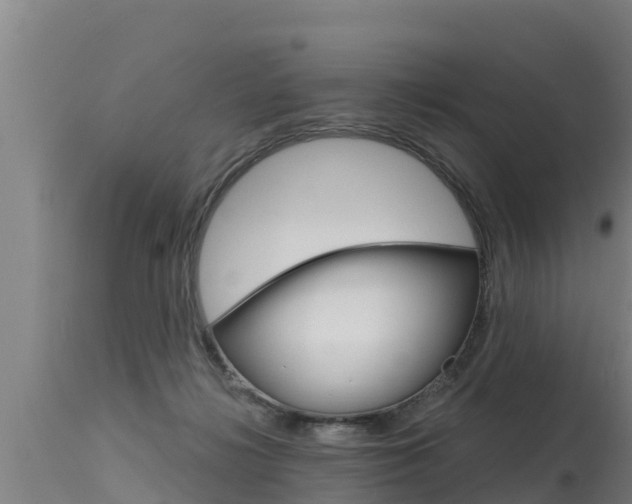 X0000115770268200911131028