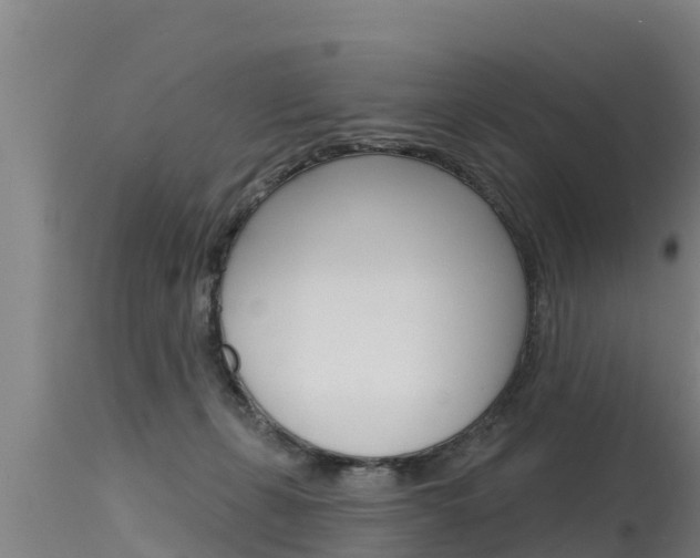 X0000115770271200911131028