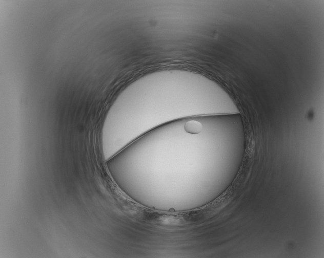 X0000115770272200911131028