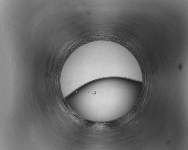 X0000115770280200911131028